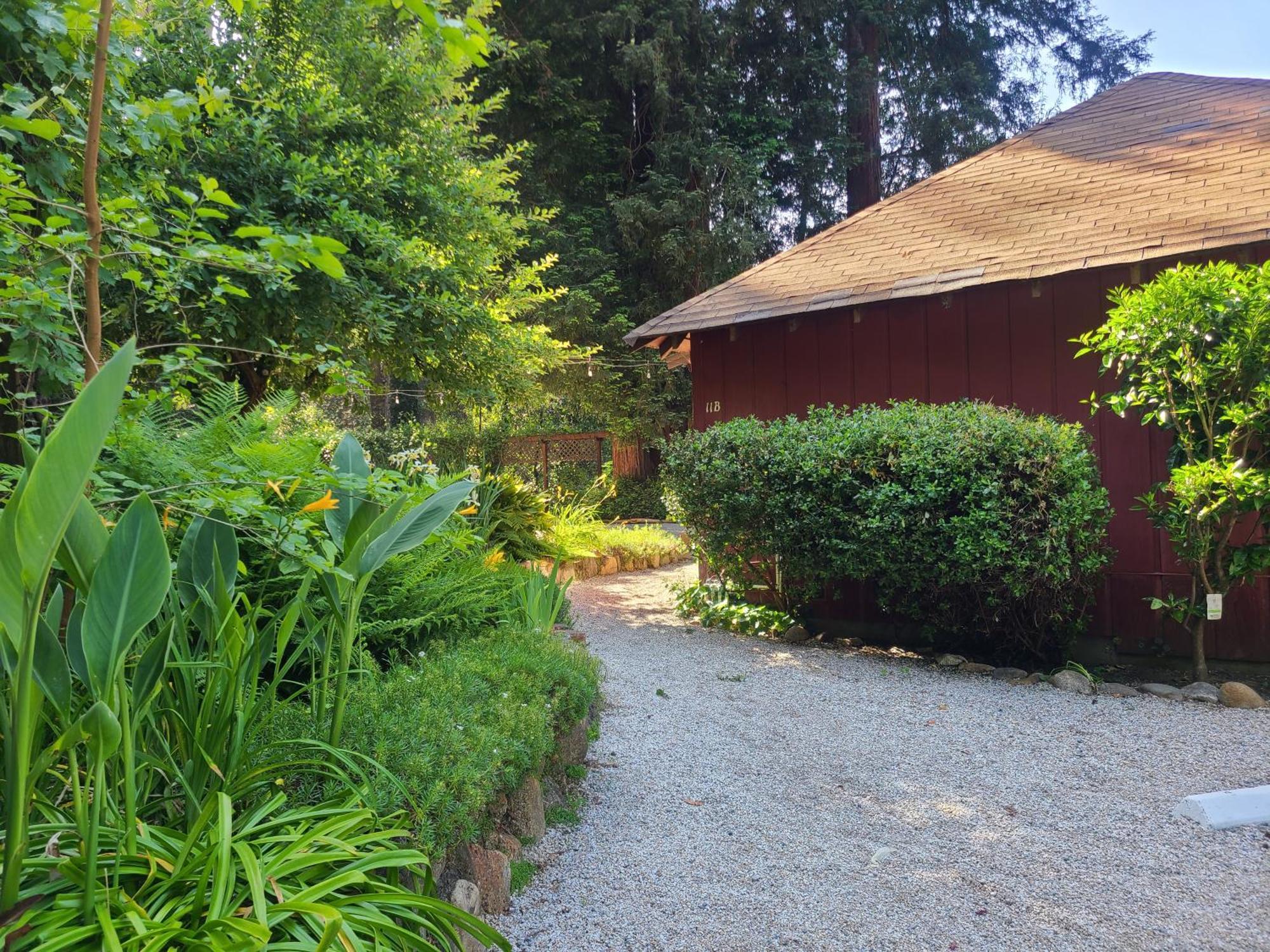 Fern River Resort Felton Extérieur photo